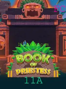Explorando o Universo de BookOfPriestess: Uma Jornada Mágica no Mundo dos Jogos de Tabuleiro