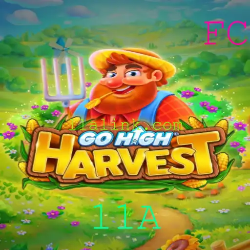 Descubra o Envolvente Mundo de GoHighHarvest e a Palavra-Chave 11A